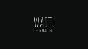 Wait! Life is Beautiful! | Gameplay Trailer trailer thumbnail