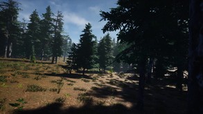 Mushroom Picker Simulator - Announcement Trailer trailer thumbnail