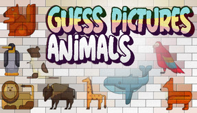 Guess Pictures - Animals trailer thumbnail