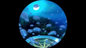 Jellyfish Loop trailer thumbnail