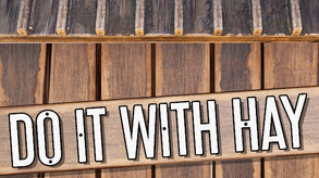 Do It With Hay - Gameplay Trailer trailer thumbnail