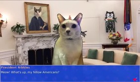 Cat President 2 - teaser trailer trailer thumbnail