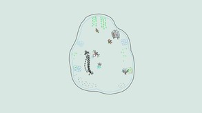 Ynglet Announcement Trailer trailer thumbnail