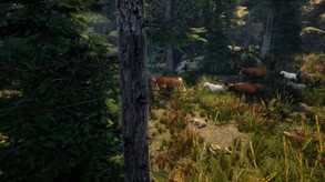 Trailer trailer thumbnail