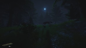 Beast Nature trailer thumbnail