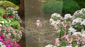 Tree Trunk Brook - trailer trailer thumbnail