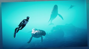 Photo Mode Trailer trailer thumbnail