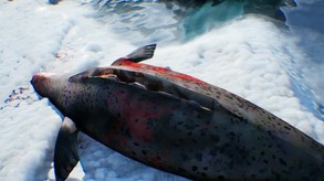 Far North Survival trailer thumbnail