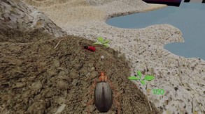 Insect: Bombardier beetle (Trailer) trailer thumbnail