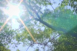 PV_Summer ~Life in the Countryside~ trailer thumbnail