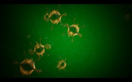 The Virus Trailer trailer thumbnail