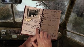 The Wild Case trailer trailer thumbnail