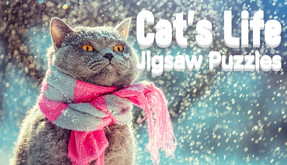Cat trailer thumbnail