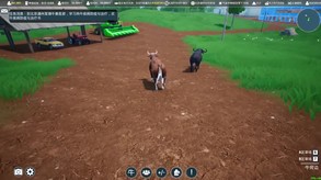 肉牛养殖计划2 trailer thumbnail