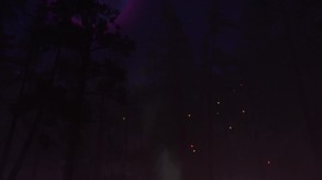 Finsterwald story trailer thumbnail