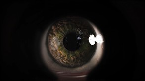 Second Trailer trailer thumbnail