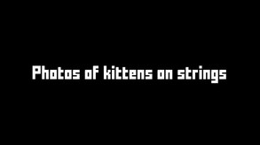 Selection Process trailer trailer thumbnail