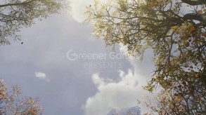 Nature Treks: Together trailer thumbnail
