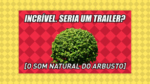 IRMÃO Grande & Brasileiro 2 - Trailer trailer thumbnail