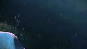 Chimeras: Cursed and Forgotten - Trailer 1 trailer thumbnail