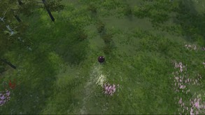 New Approach trailer thumbnail