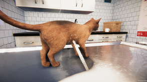 Animal Shelter - Trailer trailer thumbnail