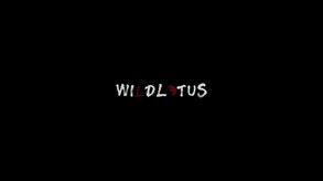 实机演示 trailer thumbnail
