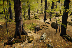 Overview of Animals 3 trailer thumbnail