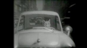 Teaser trailer thumbnail