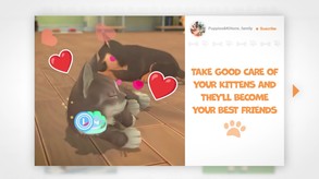 Trailer trailer thumbnail