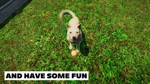 Animal Shelter - DATE REVEAL Trailer trailer thumbnail