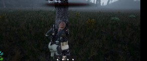 Chopping Tree trailer thumbnail