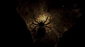 Spider trailer thumbnail