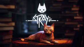 STRAY | Release Date Trailer trailer thumbnail