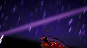 Mega Crab Teaser trailer thumbnail