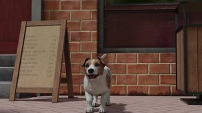 Pet trailer thumbnail