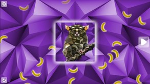 Poly Puzzle Primates Trailer trailer thumbnail
