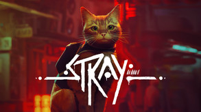 STRAY | Launch Trailer trailer thumbnail