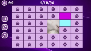Furry Orgasm trailer thumbnail