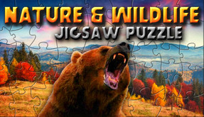 Nature & Wildlife trailer thumbnail