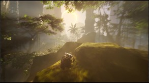 Dream Cycle release trailer trailer thumbnail