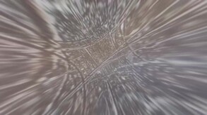 en trailer thumbnail