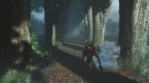 In the woods trailer thumbnail