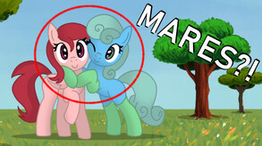 MareQuest Trailer 1 trailer thumbnail
