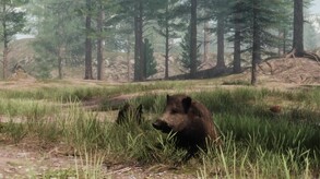 Early Access 1.2 Update trailer thumbnail