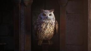 Hogwarts Legacy CG Trailer ESRB trailer thumbnail