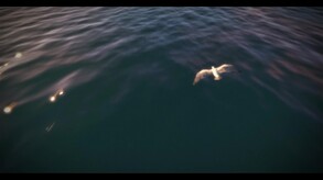 Main trailer thumbnail