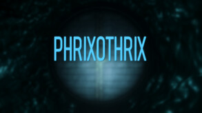 Phrixothrix Trailer trailer thumbnail