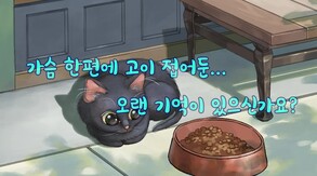 비 오는 날 trailer thumbnail