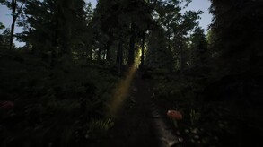 Pre Teaser: The first walk in the forest. trailer thumbnail